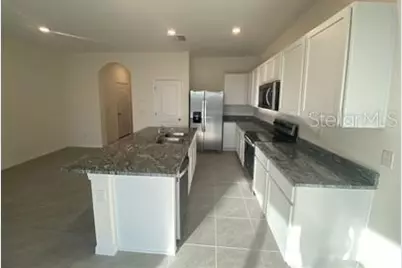 2906 Suncoast Plains Drive, Odessa, FL 33556 - Photo 3