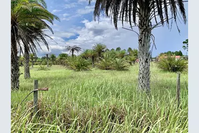 Dan Brown Hill Road #Lot 1, Brooksville, FL 34602 - Photo 1