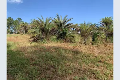 Dan Brown Hill Road #Lot 1, Brooksville, FL 34602 - Photo 7