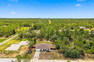 15186 Duck Hawk Rd, Weeki Wachee, FL 34614 - Photo 57