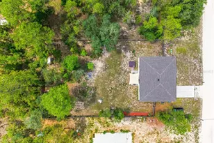 15186 Duck Hawk Rd, Weeki Wachee, FL 34614 - Photo 59