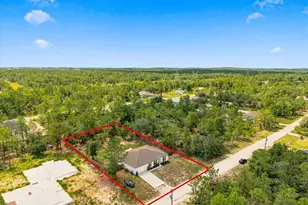 15186 Duck Hawk Rd, Weeki Wachee, FL 34614 - Photo 11