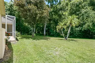 3187 Sterling St, Tarpon Springs, FL 34688 - Photo 53