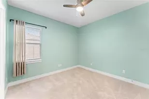 8249 Ivy Stark Blvd, Wesley Chapel, FL 33545 - Photo 31