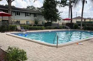 528 Golden Raintree Pl, Brandon, FL 33510 - Photo 39