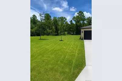 8827 N Vienna Drive, Dunnellon, FL 34433 - Photo 35