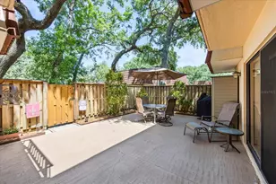 2626 2nd Ct, Palm Harbor, FL 34684 - Photo 31
