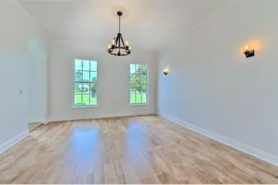 11444 Hammock Oaks Ct, Lithia, FL 33547 - Photo 49