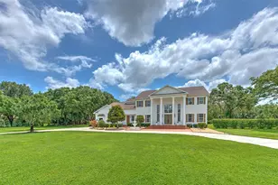 11444 Hammock Oaks Ct, Lithia, FL 33547 - Photo 67