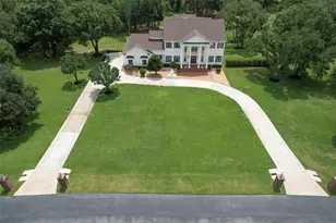 11444 Hammock Oaks Ct, Lithia, FL 33547 - Photo 3