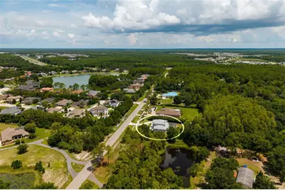 1436 Altamont Lane, Odessa, FL 33556 - Photo 77