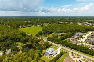 1436 Altamont Ln, Odessa, FL 33556 - Photo 73