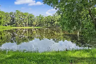 2202 Amity Ct, New Port Richey, FL 34655 - Photo 61
