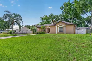 21906 Panther Way, Land O Lakes, FL 34639 - Photo 3