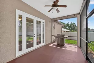 21906 Panther Way, Land O Lakes, FL 34639 - Photo 9