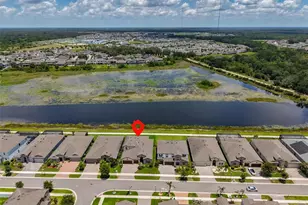 12835 Satin Lily Dr, Riverview, FL 33579 - Photo 41