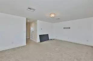 12835 Satin Lily Dr, Riverview, FL 33579 - Photo 37