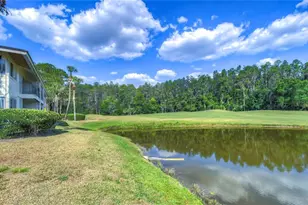 29300 Bay Hollow Dr, Wesley Chapel, FL 33543 - Photo 27