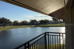 29300 Bay Hollow Dr, Wesley Chapel, FL 33543 - Photo 25