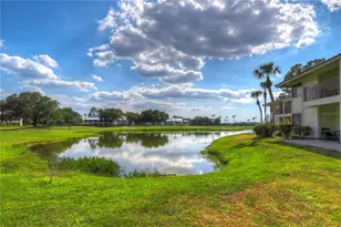29300 Bay Hollow Dr, Wesley Chapel, FL 33543 - Photo 19