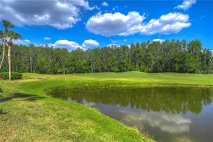 29300 Bay Hollow Dr, Wesley Chapel, FL 33543 - Photo 17