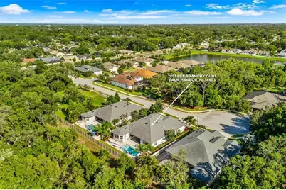 2013 Bee Branch Court, Palm Harbor, FL 34683 - Photo 59