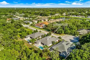 2013 Bee Branch Ct, Palm Harbor, FL 34683 - Photo 59