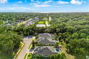 2013 Bee Branch Ct, Palm Harbor, FL 34683 - Photo 59