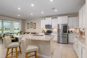 33634 Garden Sage Isle, Wesley Chapel, FL 33545 - Photo 11
