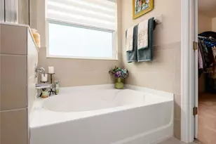 33634 Garden Sage Isle, Wesley Chapel, FL 33545 - Photo 35