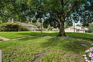 8003 Jasmine Dr, Tampa, FL 33637 - Photo 33