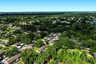 8003 Jasmine Dr, Tampa, FL 33637 - Photo 37