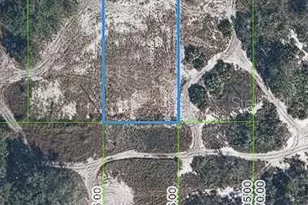 3112 Miller Ave, Lake Placid, FL 33852 - Photo 1