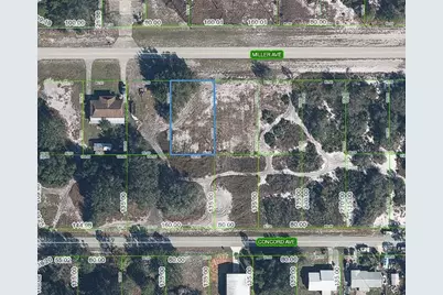 3114 Miller Avenue, Lake Placid, FL 33852 - Photo 1
