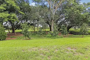 10232 Newel Valley Loop, Riverview, FL 33569 - Photo 29