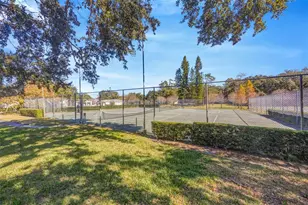 6226 Goldenmoss Way, Tampa, FL 33617 - Photo 33