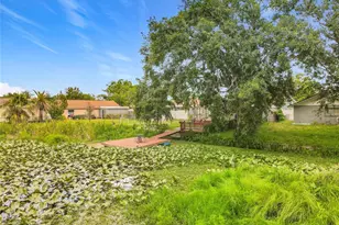 3229 Covina St, New Port Richey, FL 34655 - Photo 59