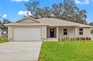 12038 San Angela Dr, San Antonio, FL 33576 - Photo 1