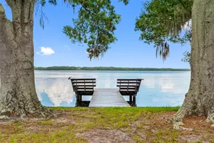 72 Lake Shore Dr, Palm Harbor, FL 34684 - Photo 35