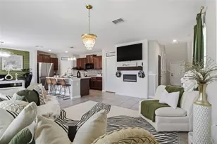 17032 Yellow Pine St, Wimauma, FL 33598 - Photo 5