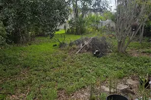 7403 S Faul St, Tampa, FL 33616 - Photo 5