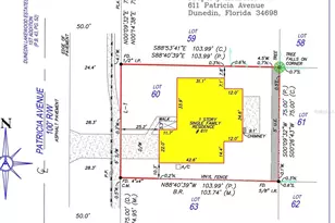 611 Patricia Ave, Dunedin, FL 34698 - Photo 3