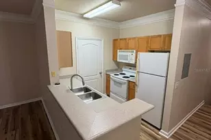 8801 Villa View Cir, Orlando, FL 32821 - Photo 5