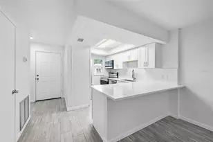 3812 N Oak Dr, Tampa, FL 33611 - Photo 5