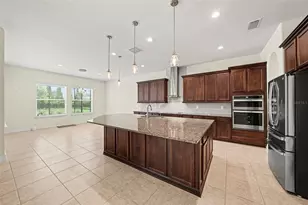 17823 Daisy Farm Dr, Lutz, FL 33559 - Photo 17