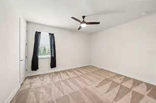 17823 Daisy Farm Dr, Lutz, FL 33559 - Photo 33