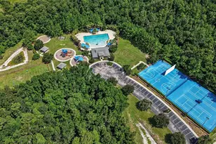 17823 Daisy Farm Dr, Lutz, FL 33559 - Photo 41