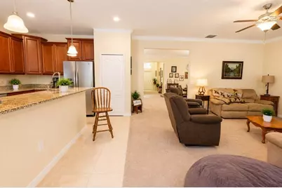 13842 Bee Tree Court, Hudson, FL 34669 - Photo 11