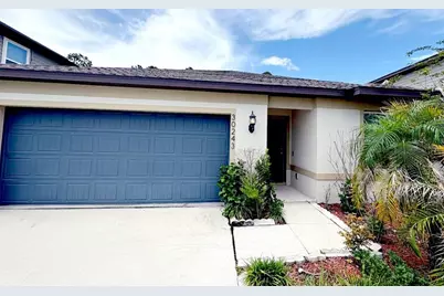 30243 Marquette Avenue, Wesley Chapel, FL 33545 - Photo 1
