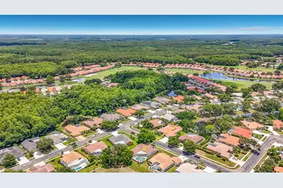 1266 Berkshire Lane, Tarpon Springs, FL 34688 - Photo 41